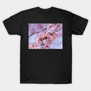 Cherry blossoms T-Shirt